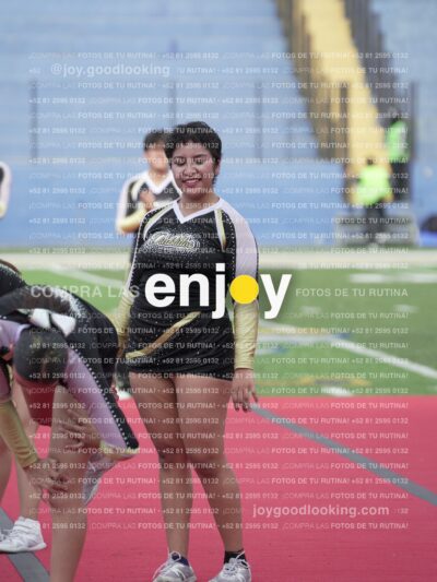 Joy04317