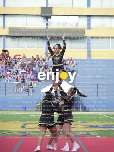 Joy04334