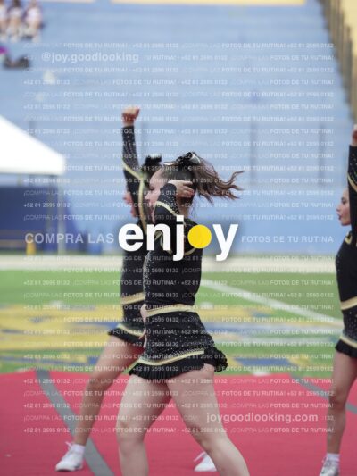 Joy04358