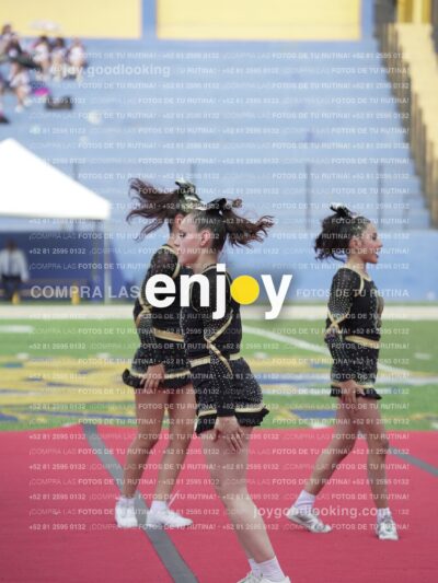 Joy04359