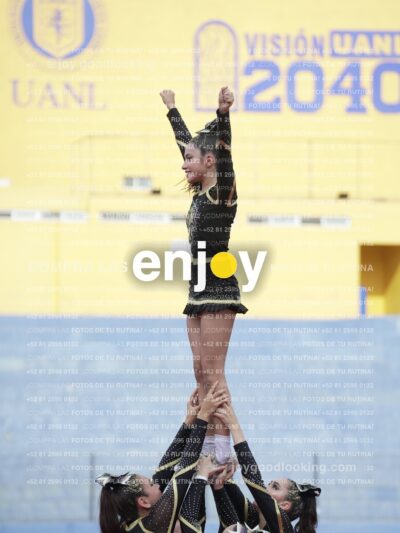 Joy04397