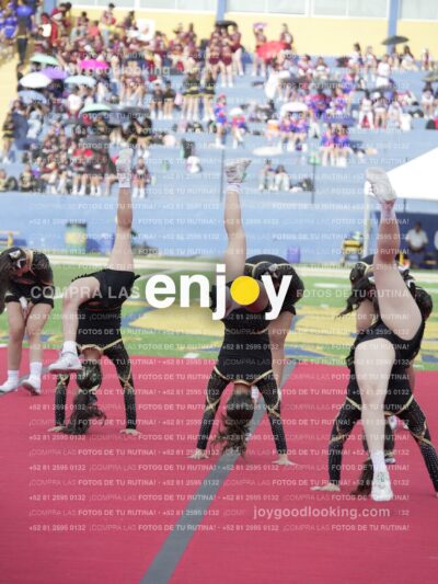 Joy04437
