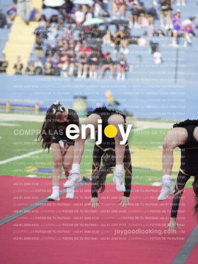 Joy04438