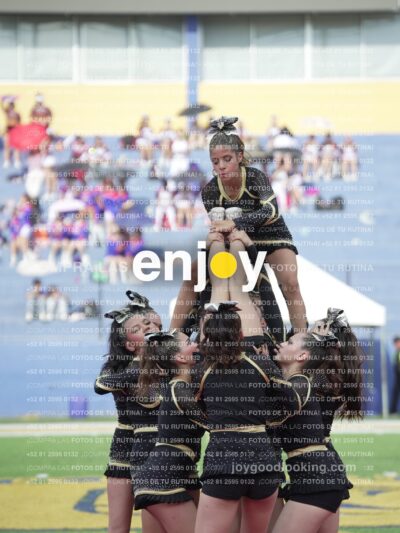 Joy04447