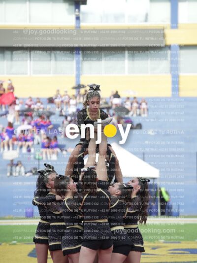Joy04453