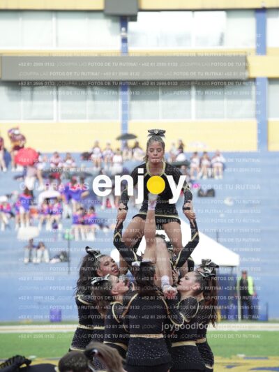 Joy04458
