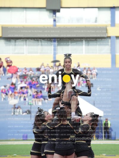 Joy04459