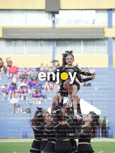 Joy04460