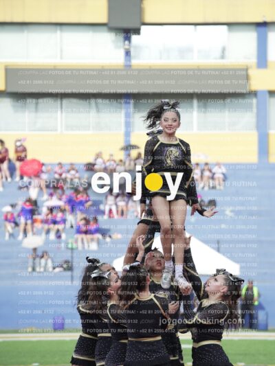 Joy04461