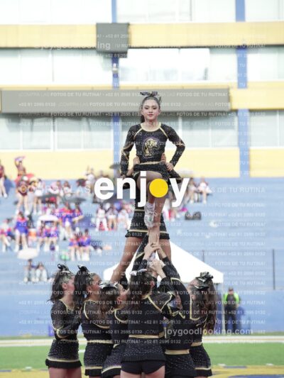 Joy04468