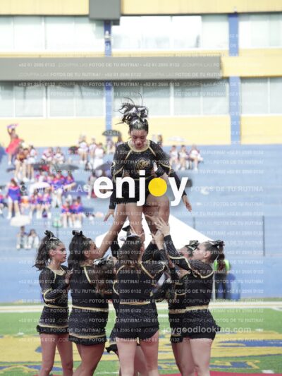 Joy04470