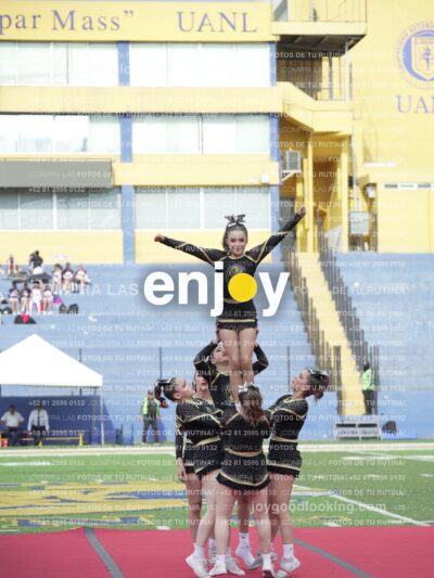 Joy04486