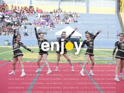 Joy04500