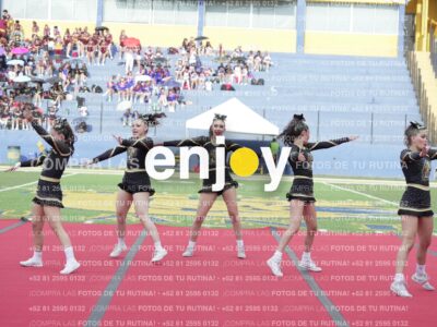 Joy04501