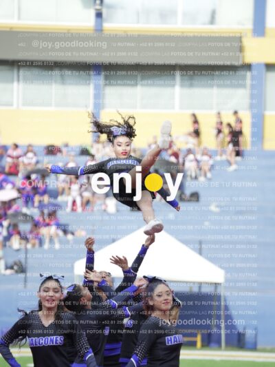 Joy04526