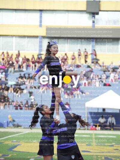 Joy04540