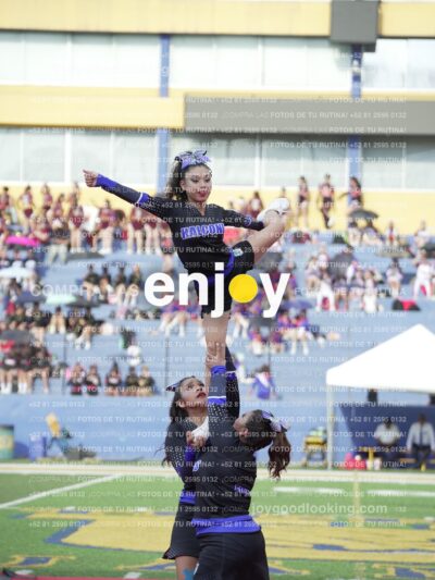 Joy04541