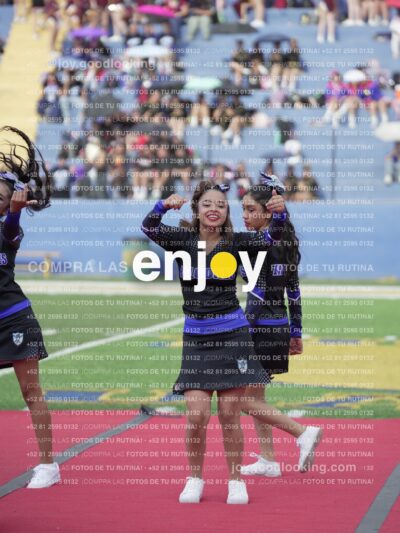 Joy04550