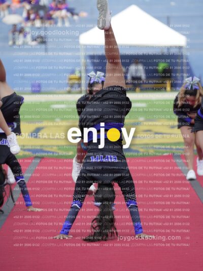 Joy04559