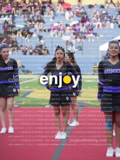 Joy04585