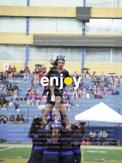 Joy04636