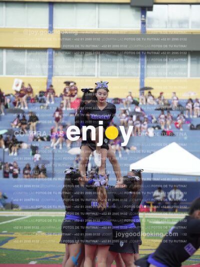 Joy04641