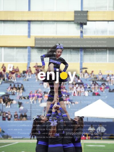 Joy04650