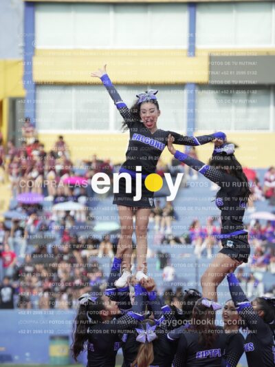 Joy04658