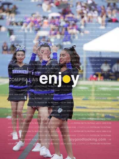 Joy04667
