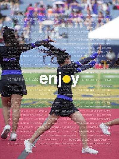 Joy04678