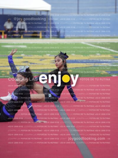 Joy04690