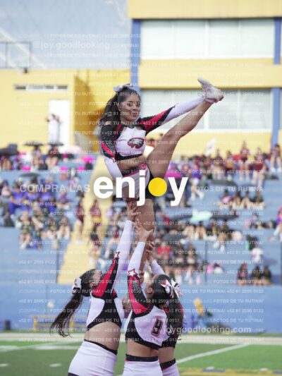 Joy04752