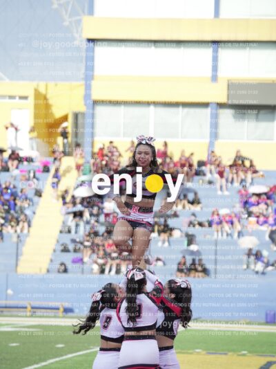 Joy04822