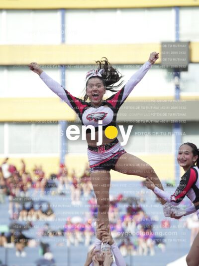 Joy04867