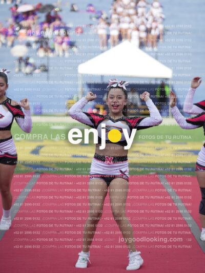 Joy04896