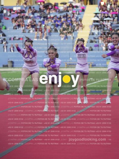 Joy04946