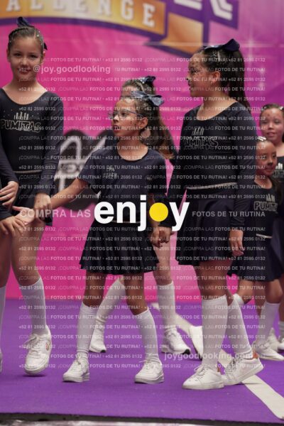 Joy04 Joy05657