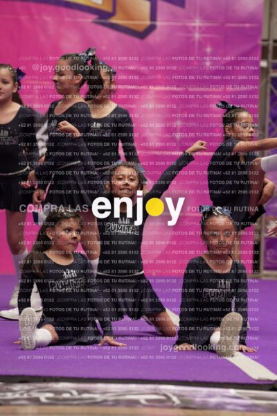 Joy04 Joy05794