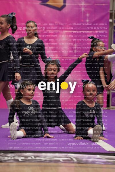 Joy04 Joy05796