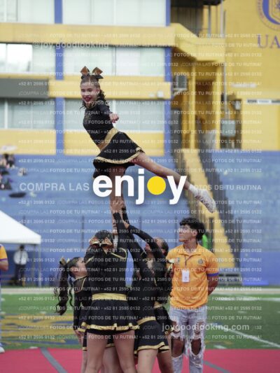 Joy05320