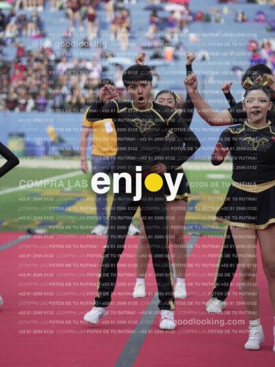 Joy05353