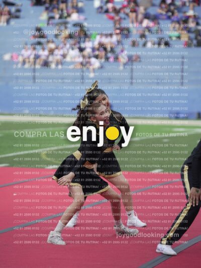 Joy05355