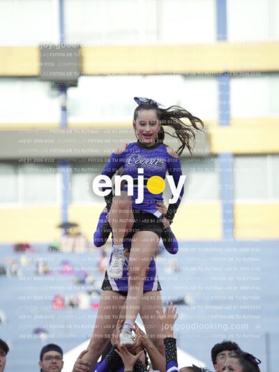 Joy05442