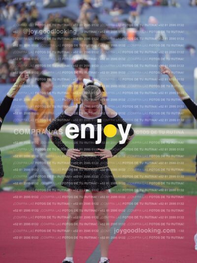 Joy05508