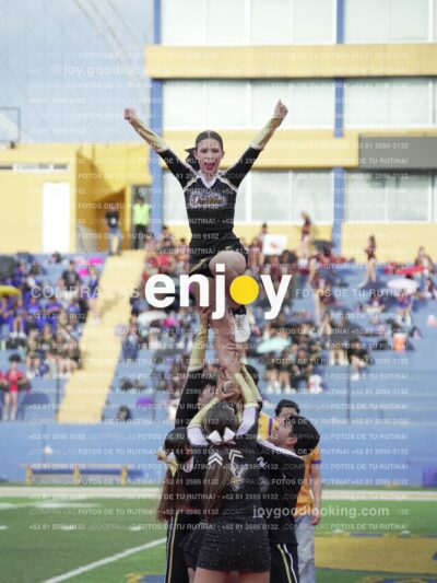 Joy05553