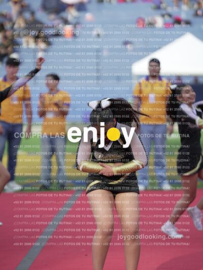 Joy05595