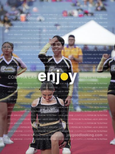 Joy05603