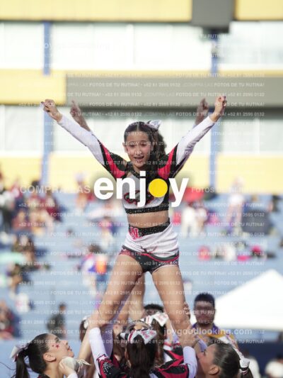 Joy05844