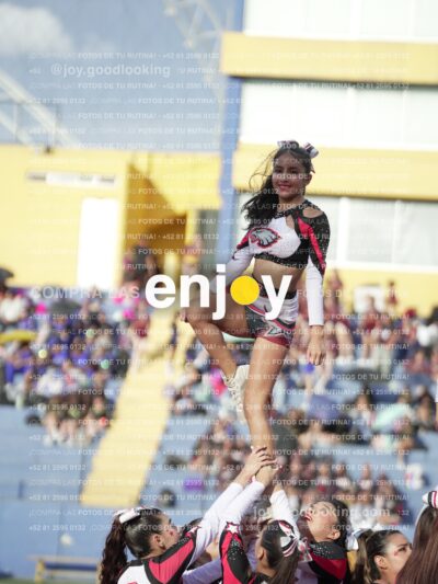 Joy05900