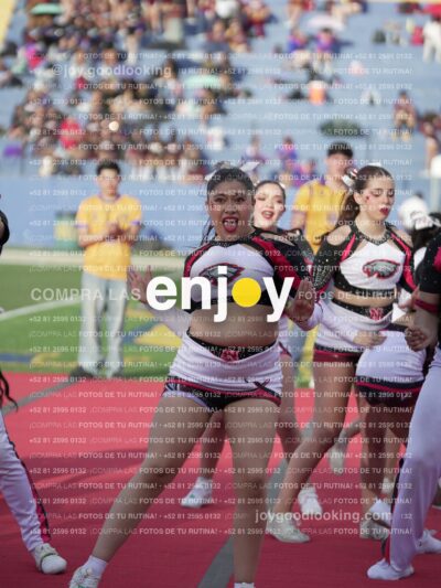 Joy05908